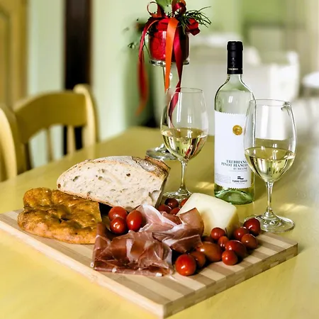 Apartment Hostly-garden House Metato-apartment With Garden, 15min From Sea Fiocina